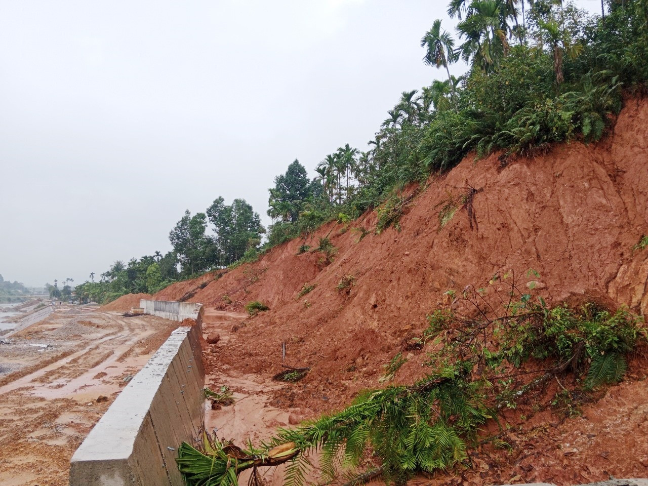 Vết nứt trên đỉnh đồi Trạm khí tượng Trà My có nguy cơ gây sạt lở ảnh hưởng đến công trình kè sông Trường. Ảnh: P.V
