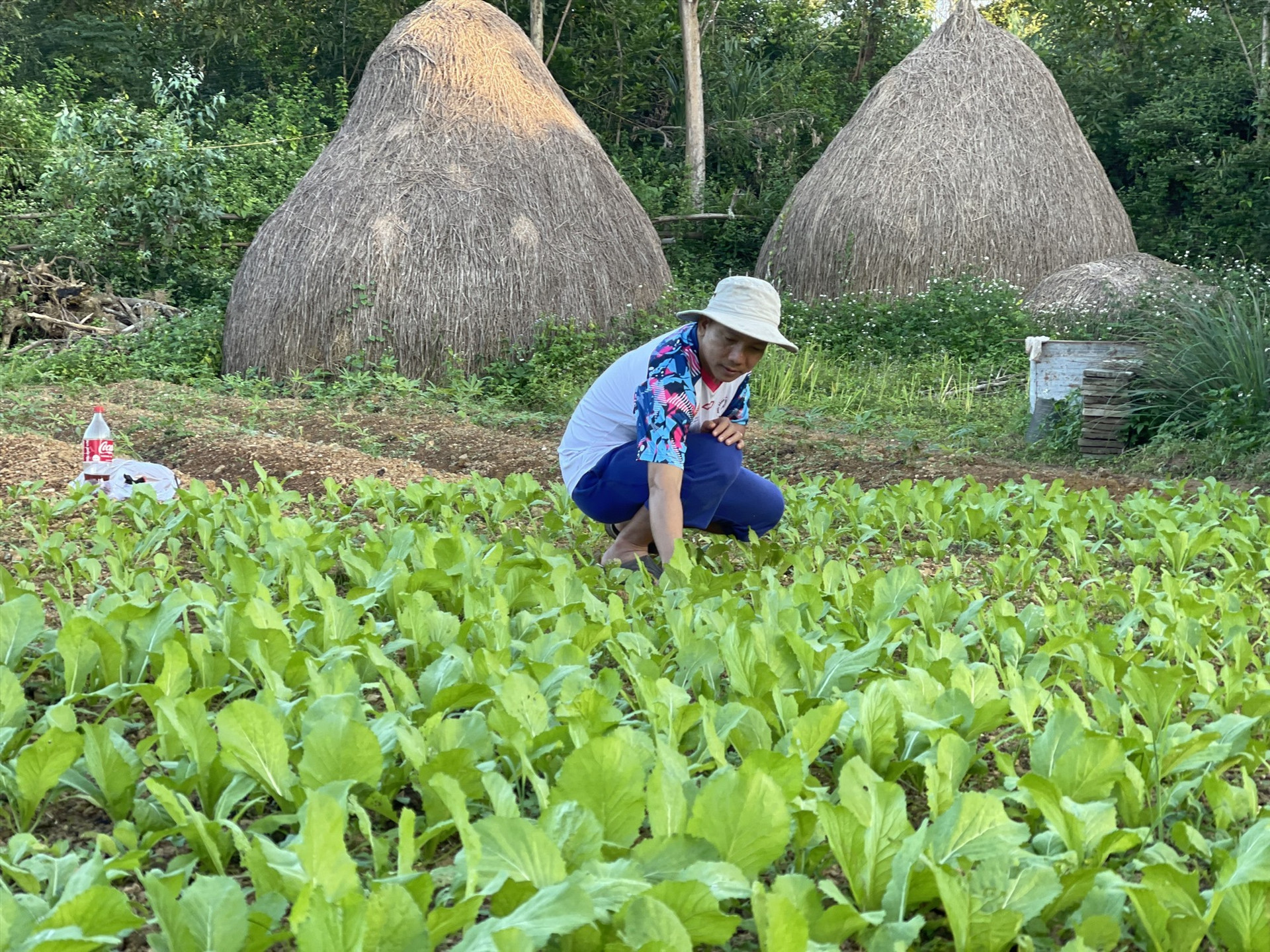 Anh Khải làm vườn mỗi ngày