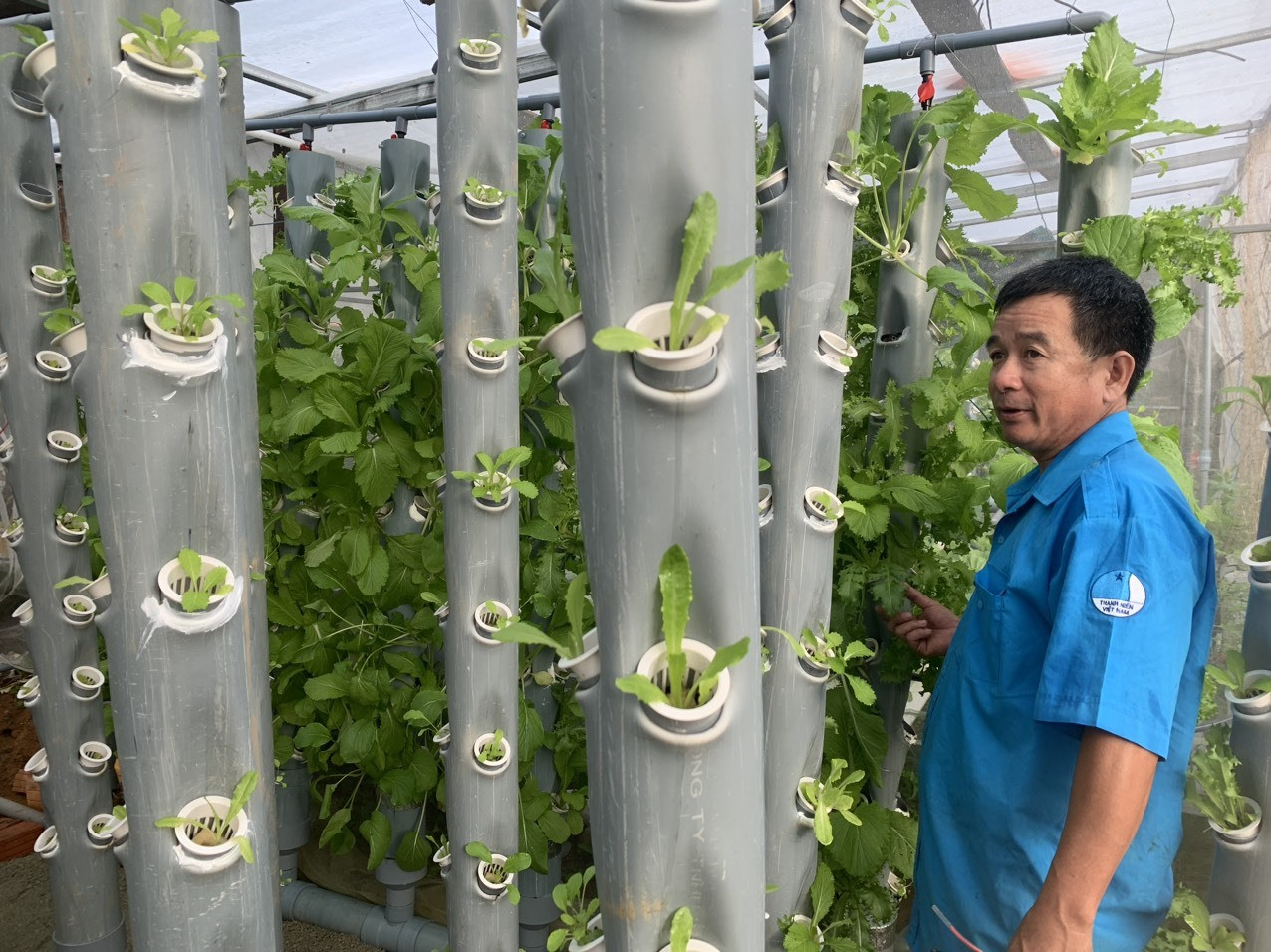 Luật sư Đào Duy Khánh với thành quả trồng rau thuỷ canh kết hợp nuôi cá aquaponics