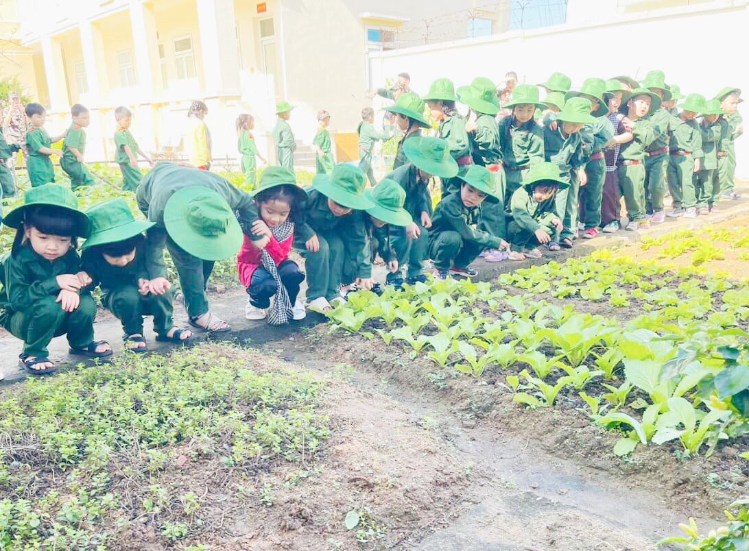 Trẻ em Trường Mẫu giáo Bình Minh (Tam Kỳ) tham quan vườn rau ở Đồn Biên phòng Tam Thanh. Ảnh: C.N