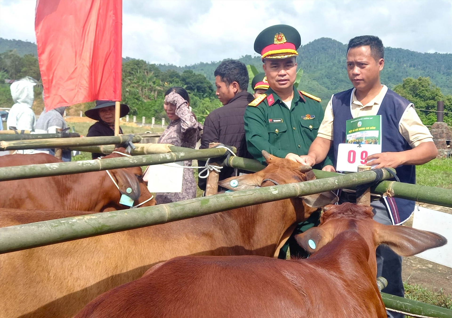 Người dân biên giới nhận bò giống từ Đoàn Kinh tế - quốc phòng 207. Ảnh: ĐĂNG NGUYÊN