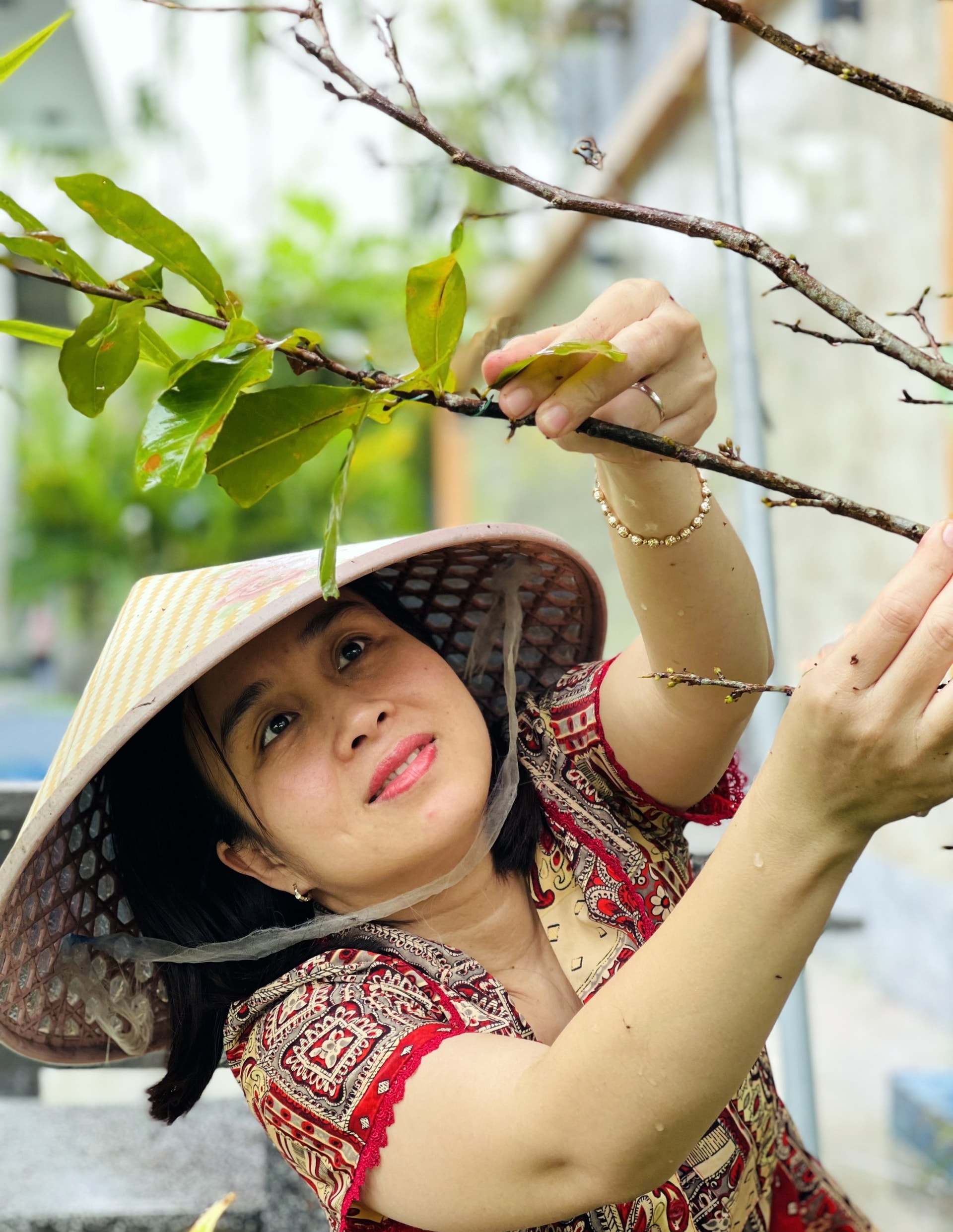 Chị Trang tỉ mỉ lặt lá mai