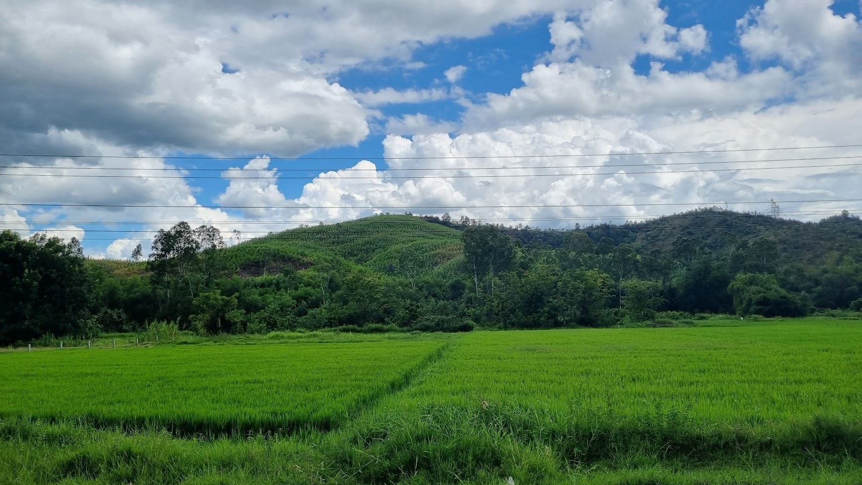 Năm 2024, Quảng Nam tăng số lượng diện tích đất sản xuất