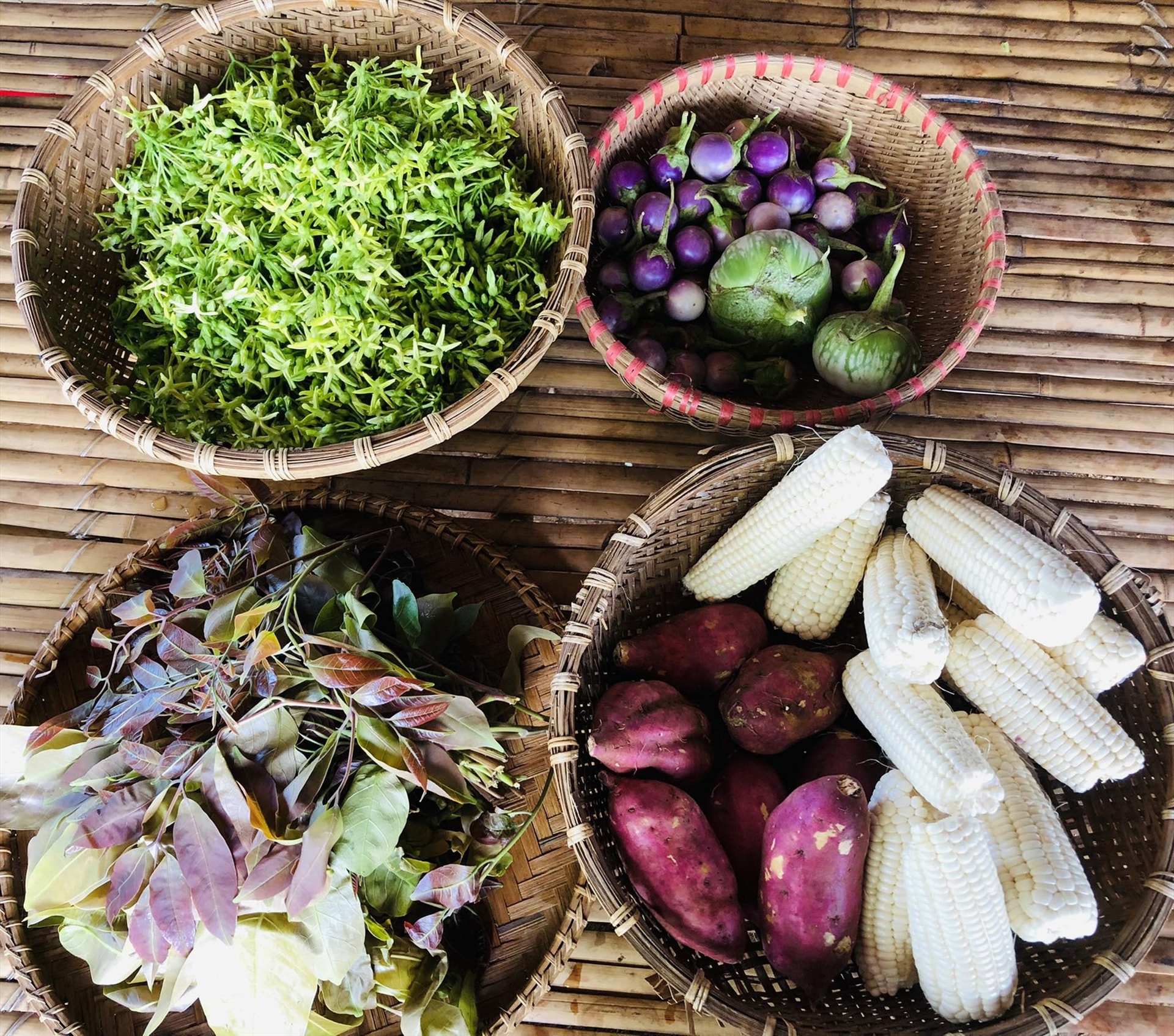 Món rau trong vườn pakak quanh nhà.