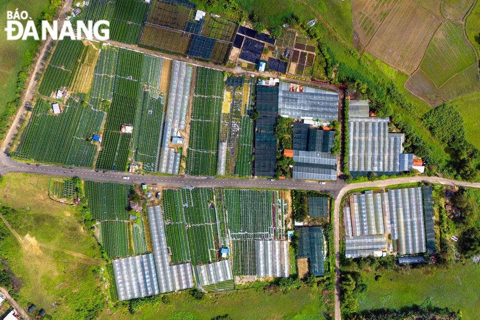 Làng hoa Dương Sơn nhìn từ trên cao.