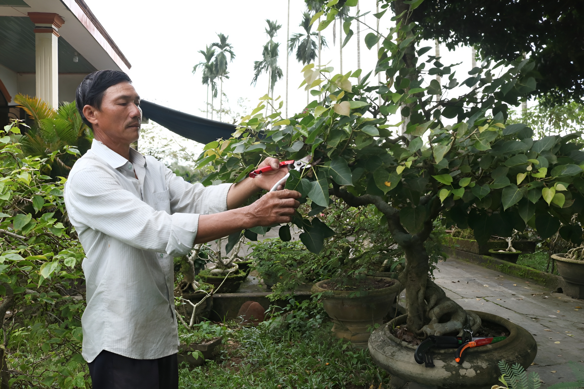 Ông Nguyễn Hồng Lâm hài lòng sử dụng bộ dụng cụ làm vườn vừa mới mua trên mạng