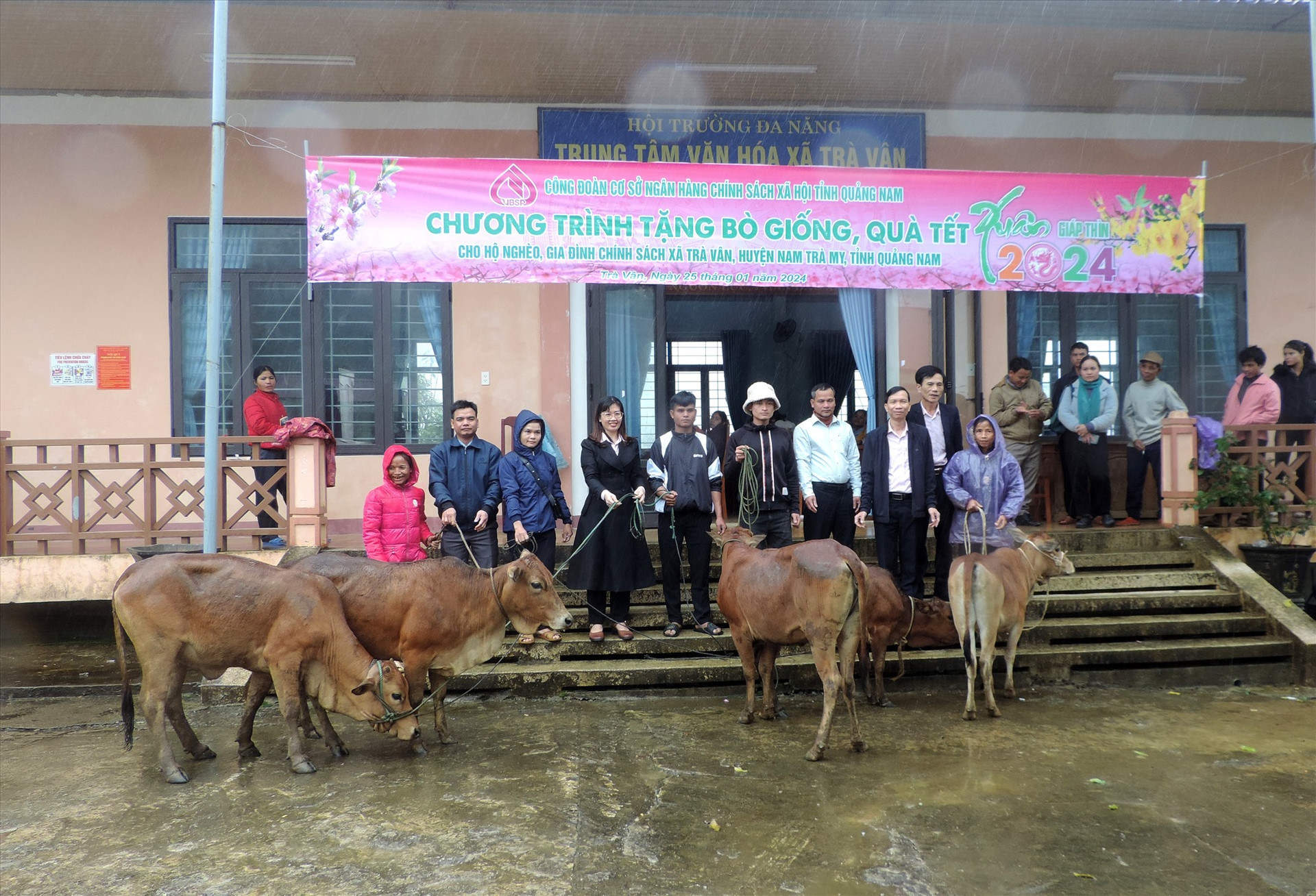Ngân hàng CSXH Quảng Nam tặng bò cho người dân xã Trà Vân. Ảnh: Huỳnh Hồ