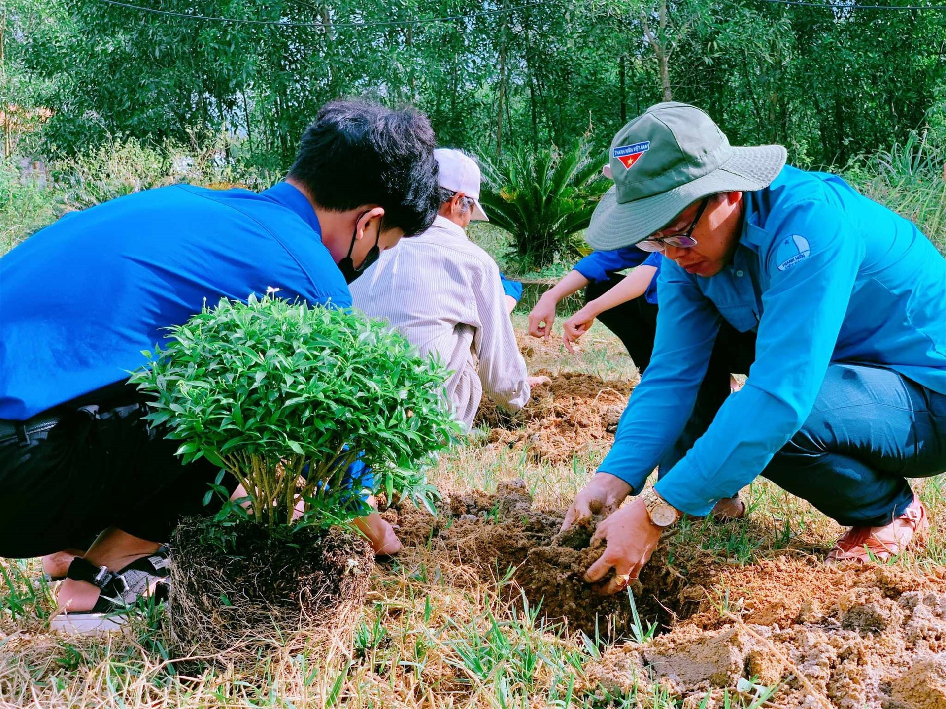 Thanh niên xã Bình Trị trồng mới trên 2.000 cây xanh. Ảnh B.T