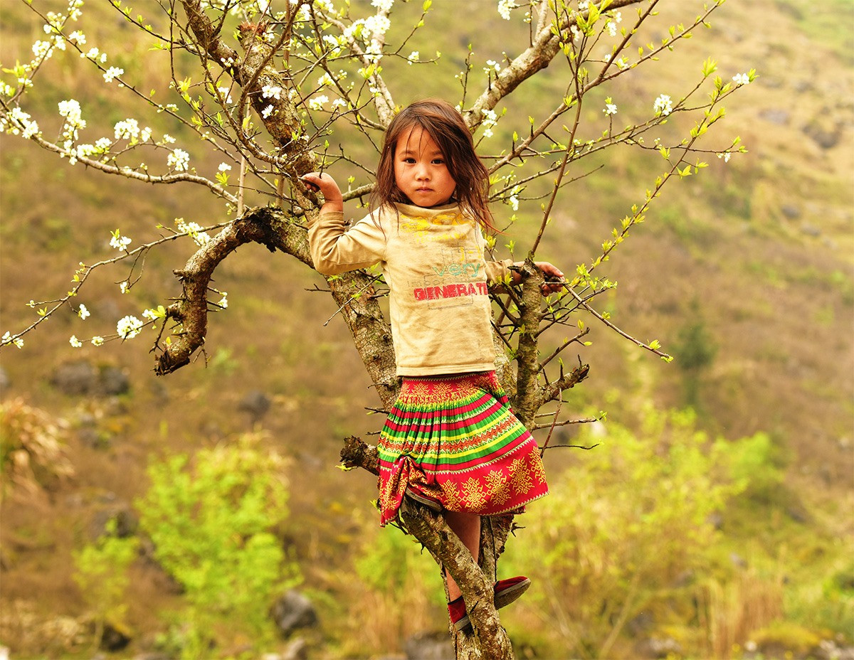 Cùng với rực rỡ của sắc đào, màu trắng tinh khôi của hoa mận điểm tô khắp núi rừng Quản Bạ (Hà Giang) đã thu hút trẻ em vui chơi rất đáng yêu!