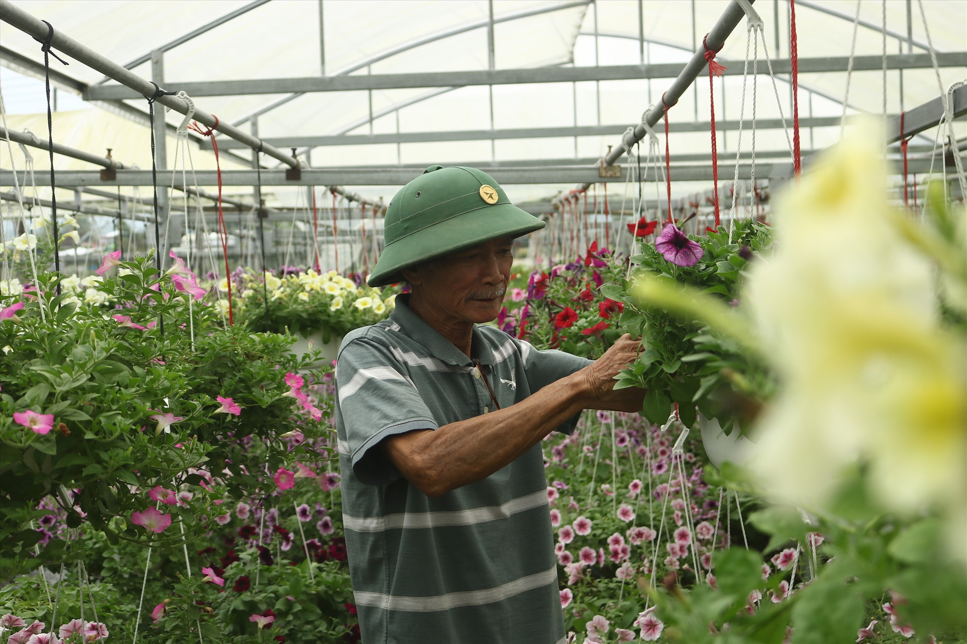 Ông Nguyễn Hoàng Mai đang chăm sóc cho khu vườn của mình. Ảnh: TL