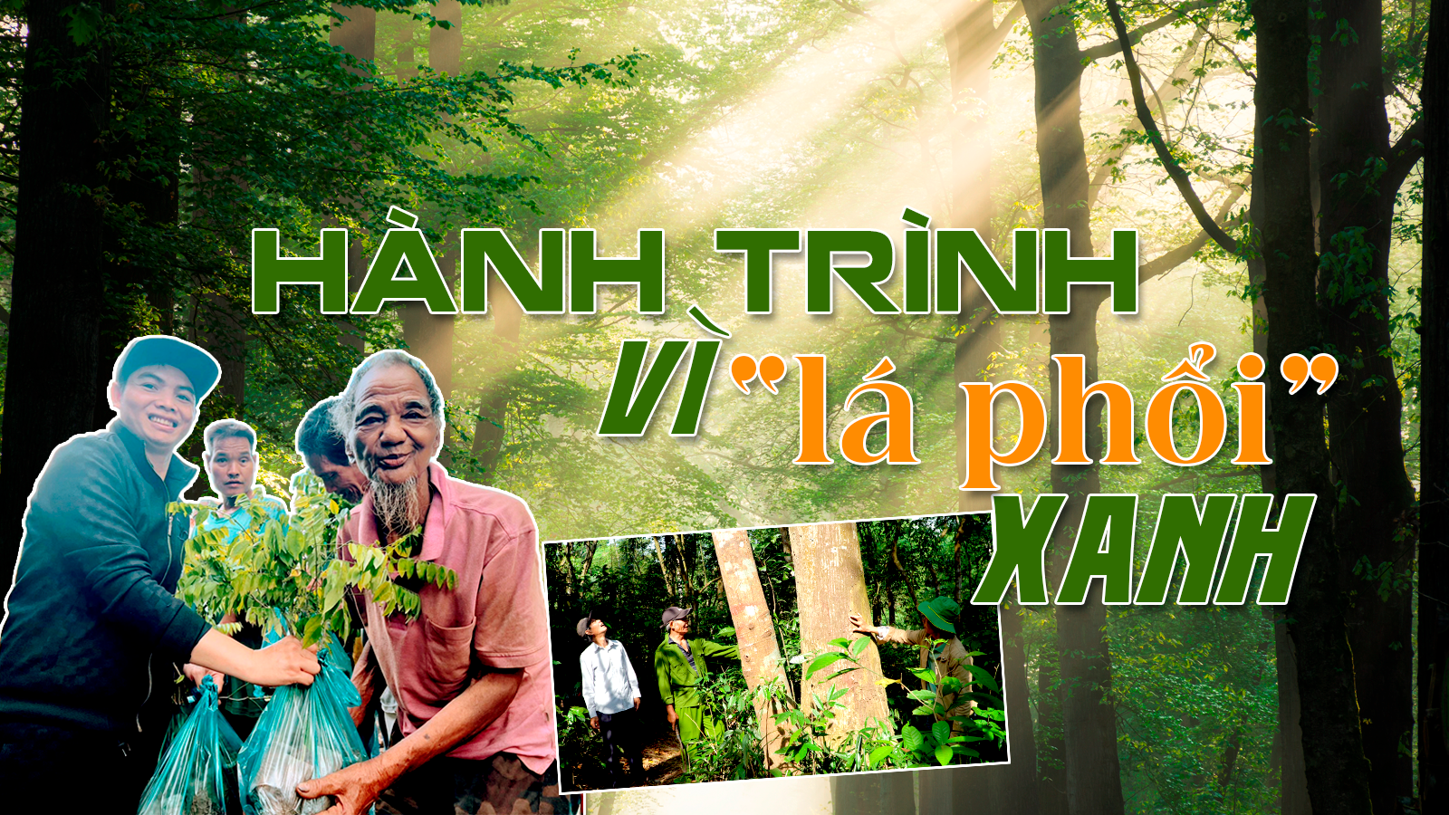 tit-chinh.png