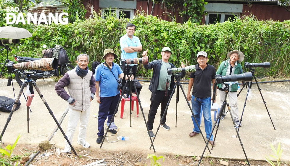 Du khách và các nhiếp ảnh gia yêu thiên nhiên khắp nơi tìm về bán đảo Sơn Trà để chiêm ngưỡng và săn hình ảnh “rồng bay phượng múa” của chim giẻ cùi.