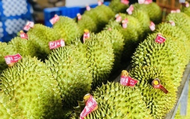 durian.jpg