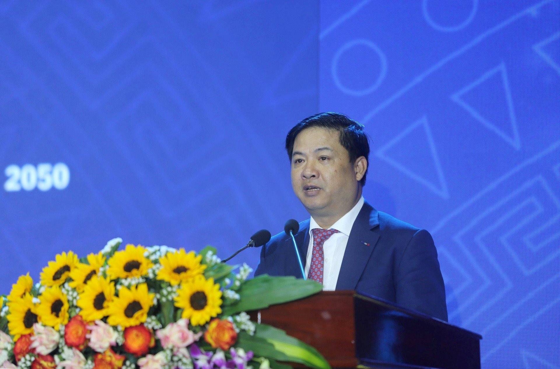 Deputy Prime Minister Tran Luu Quang at the conference