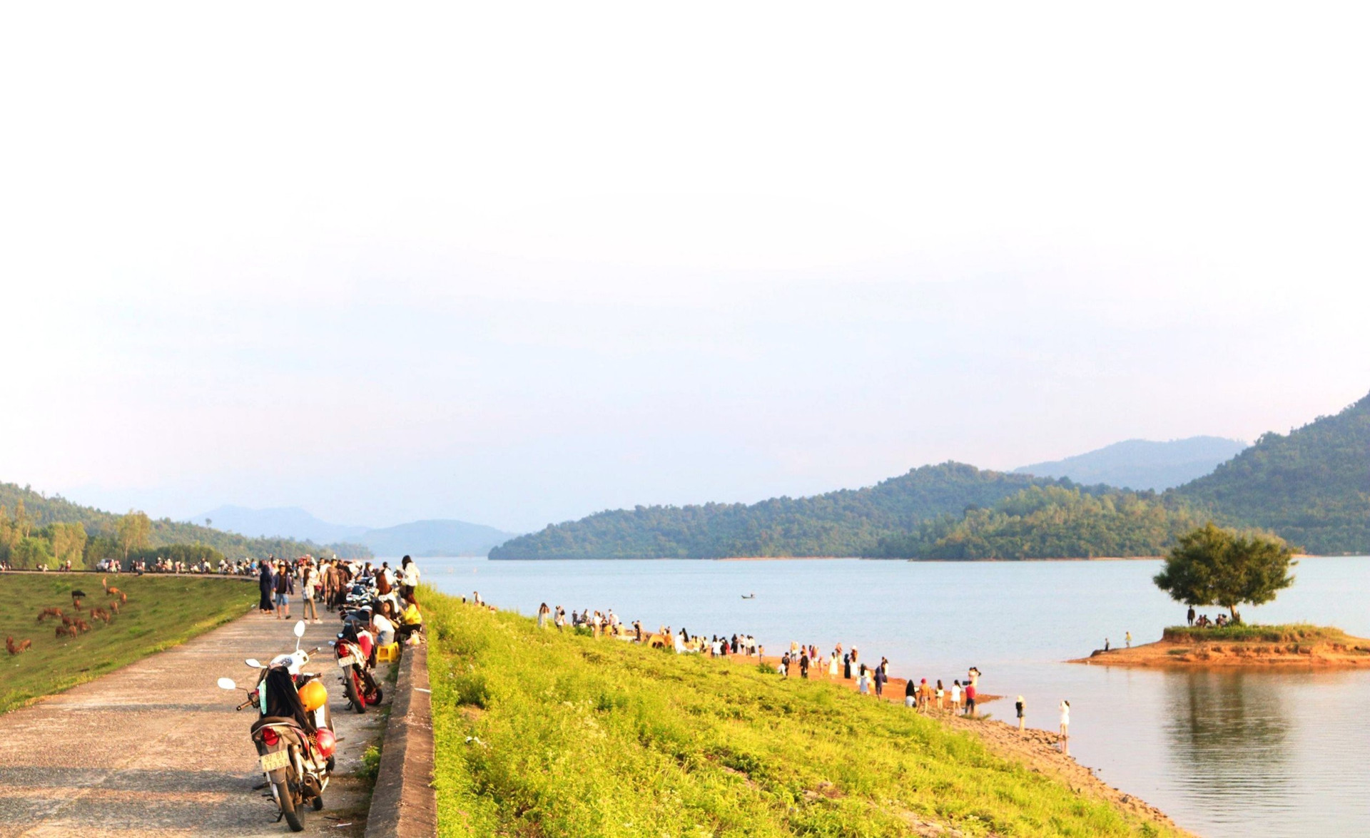 Chủ nhật, ngày 17/3/2024, du khách nườm nượp đổ về hồ Phú Ninh. Ảnh: THÚY HIỀN.