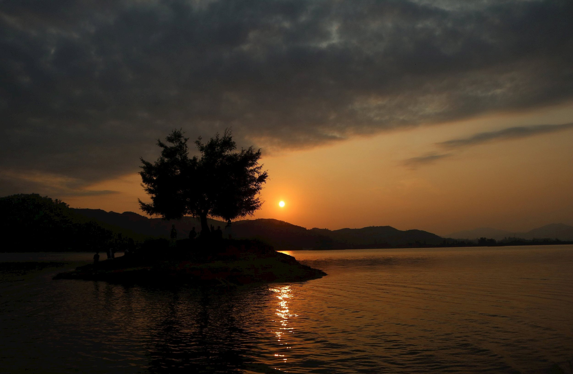 Giữa lòng hồ Phú Ninh, cây 