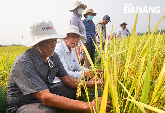 Đây là hoạt đồng thường xuyên của Trung tâm Khuyến ngư nông lâm triển khai tại 3 xã là Hòa Tiến, Hòa Phong và Hòa Liên .