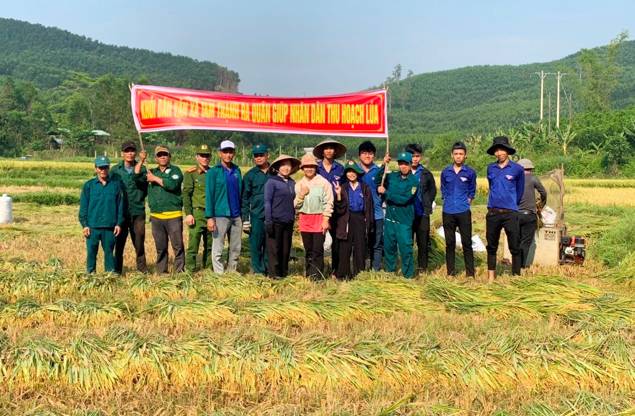 Gặt lúa giúp 3 hộ gia đình khó khăn ở xã Tam Thạnh