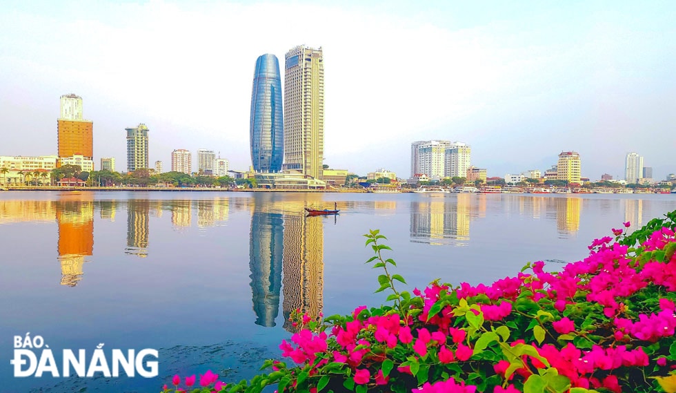 Hoa giấy rực rỡ khoe sắc làm đẹp cho thành phố.