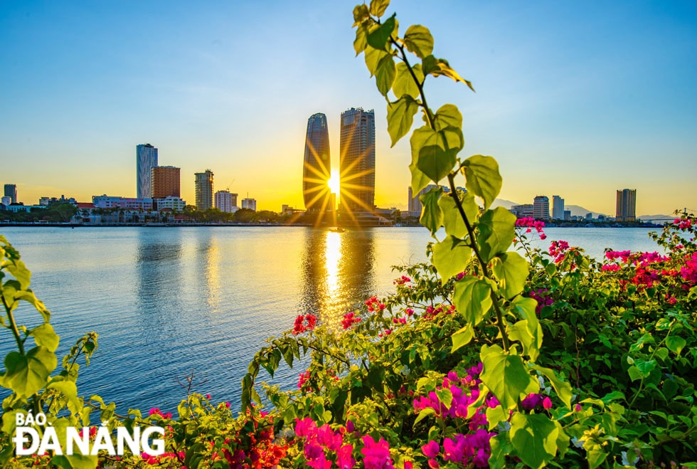 Ngắm hoàng hôn và hoa giấy bên sông Hàn cũng là sự lựa chọn thú vị cho du khách.