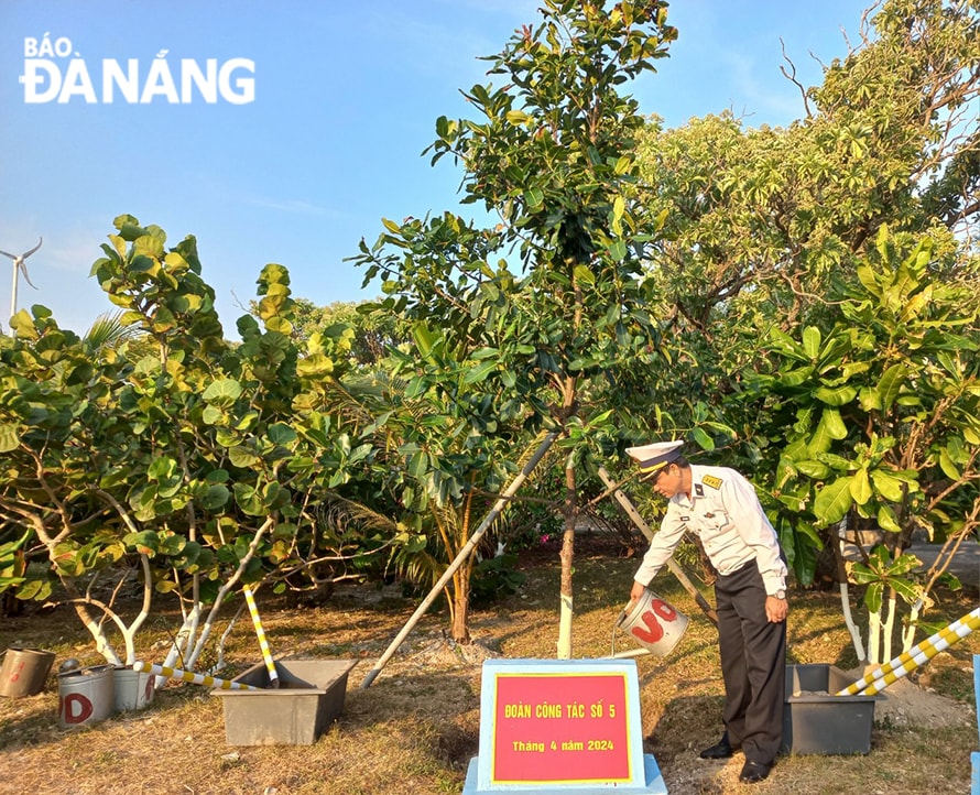 Chương trình 