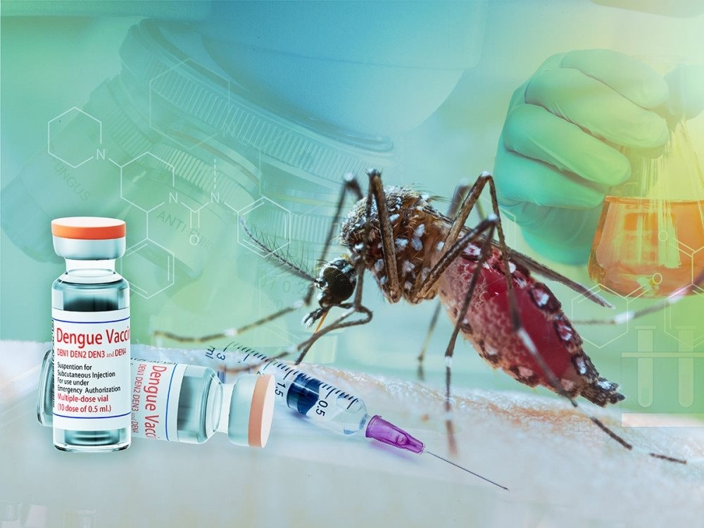 vietnam-to-test-japanese-dengue-vaccine-amid-a-sharp-rise-in-infections-1402.jpg