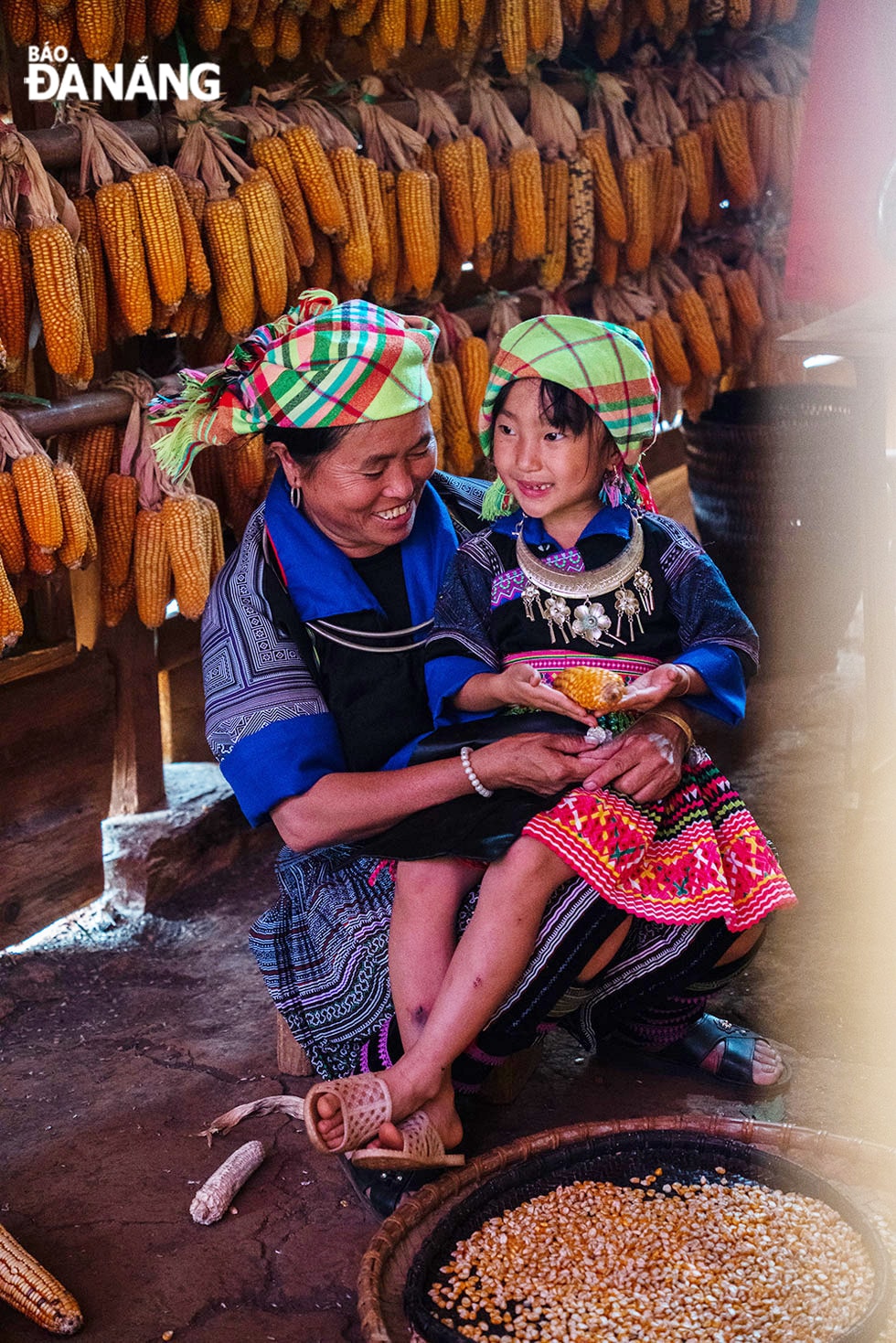 Những nụ cười thu hoạch.