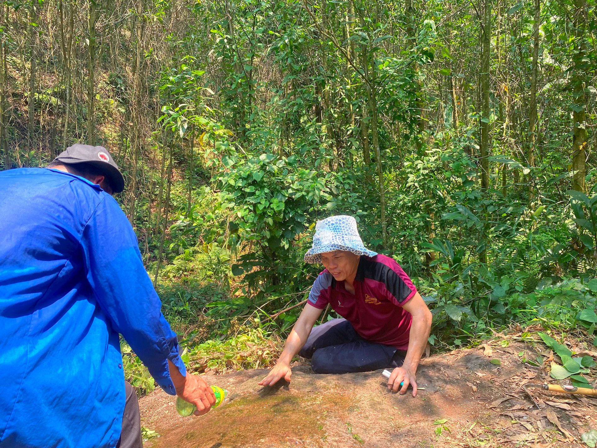 hố nhi