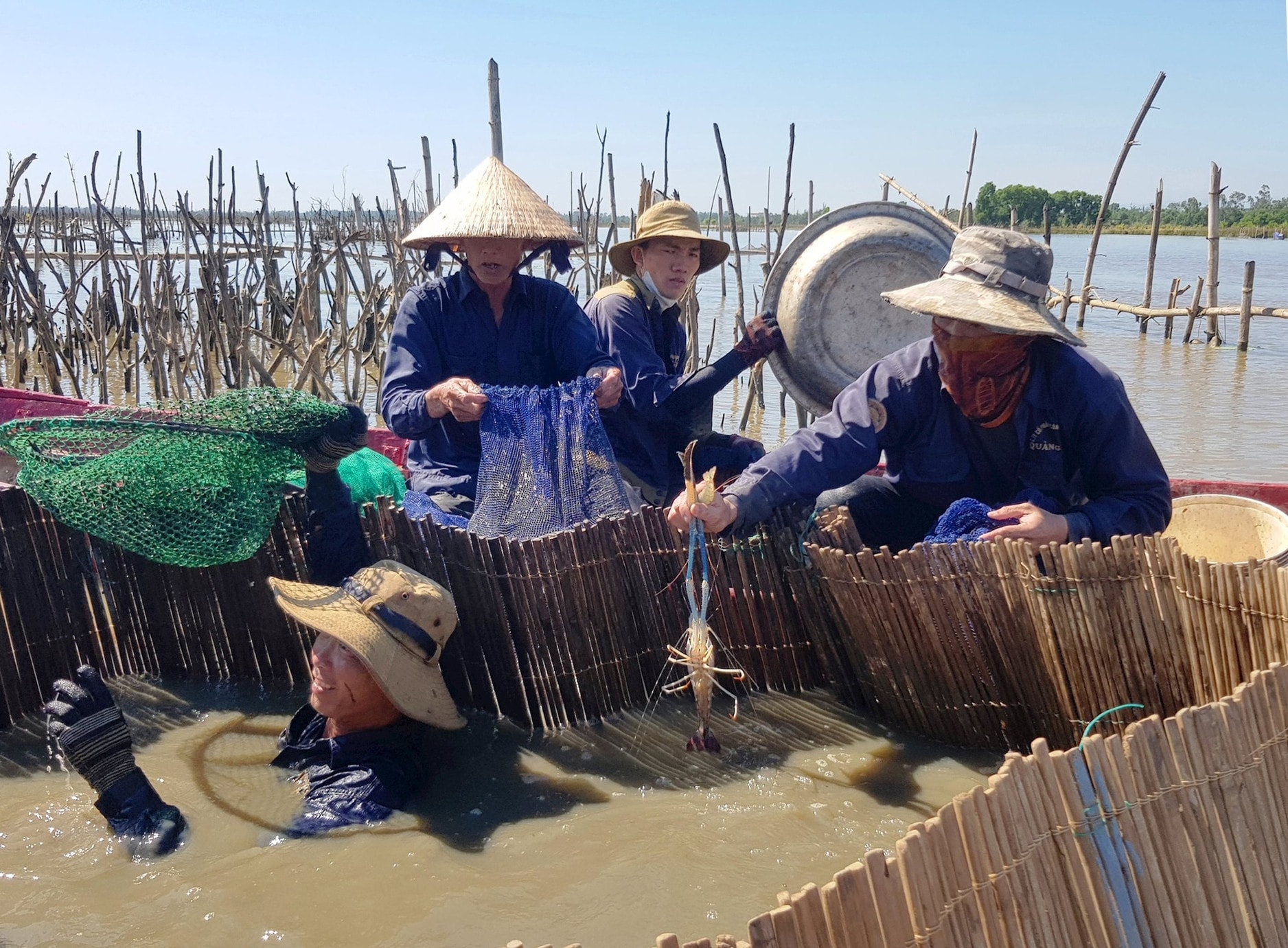 bqn.1cdn.vn-2024-07-05-_8-1-.jpg