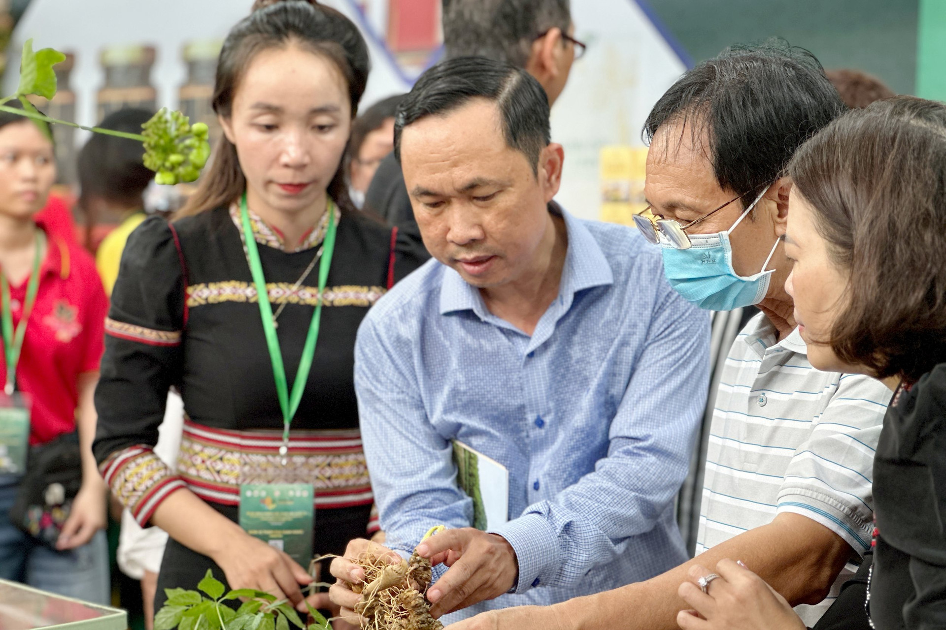 Sản phẩm sâm Ngọc Linh được trưng bày tại một lễ hội ở TP.Hồ Chí Minh. Ảnh PHAN VINH