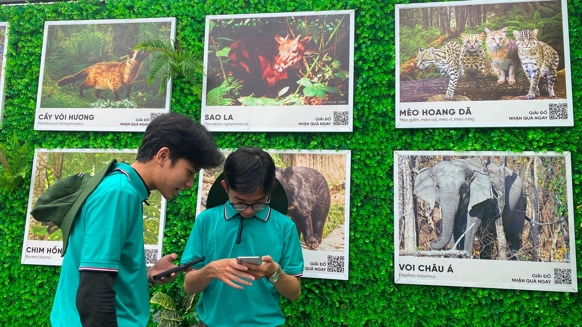 Hoạt động thu hút các bạn trẻ tham gia tìm hiểu về các loài động, thực vật hoang dã. Ảnh: T.P