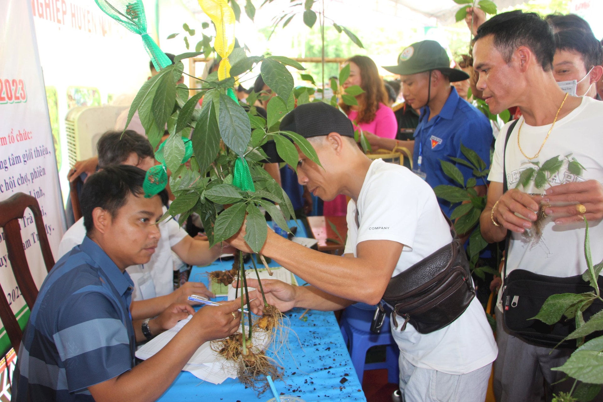 People in Nam Tra My are eager for the festival taking place from August 1 to 3.