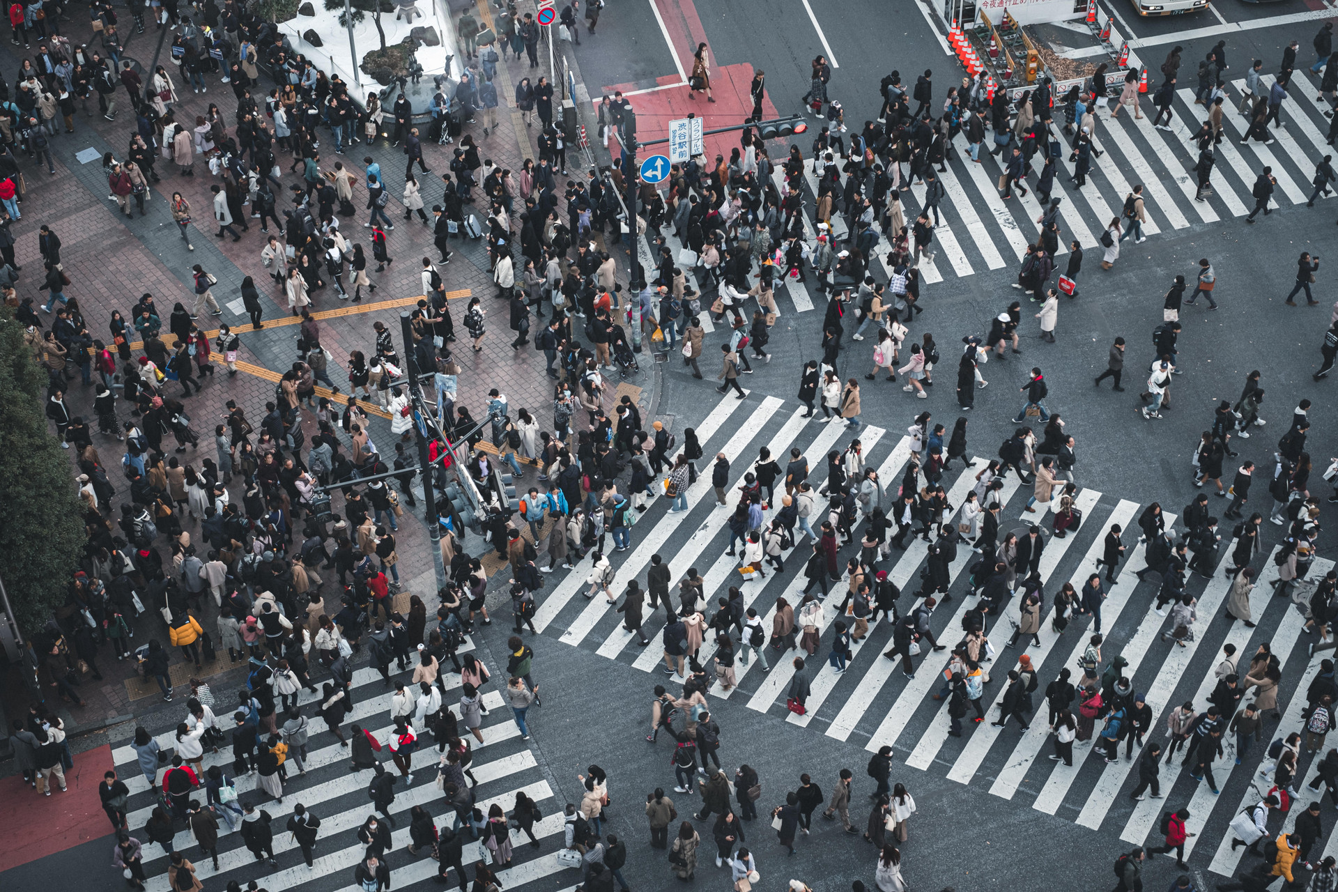 2 Shibuya quá tải