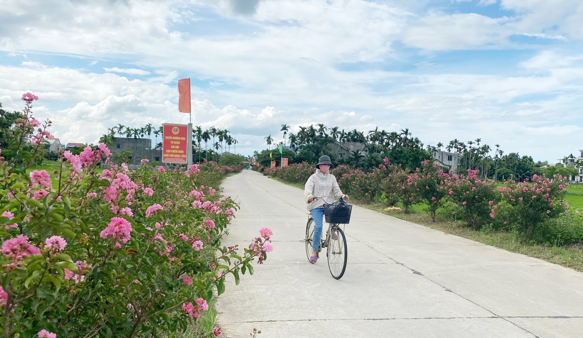 Tuyến đường hoa tường vi ở phường Điện An, thị xã Điện Bàn. Ảnh: K.L