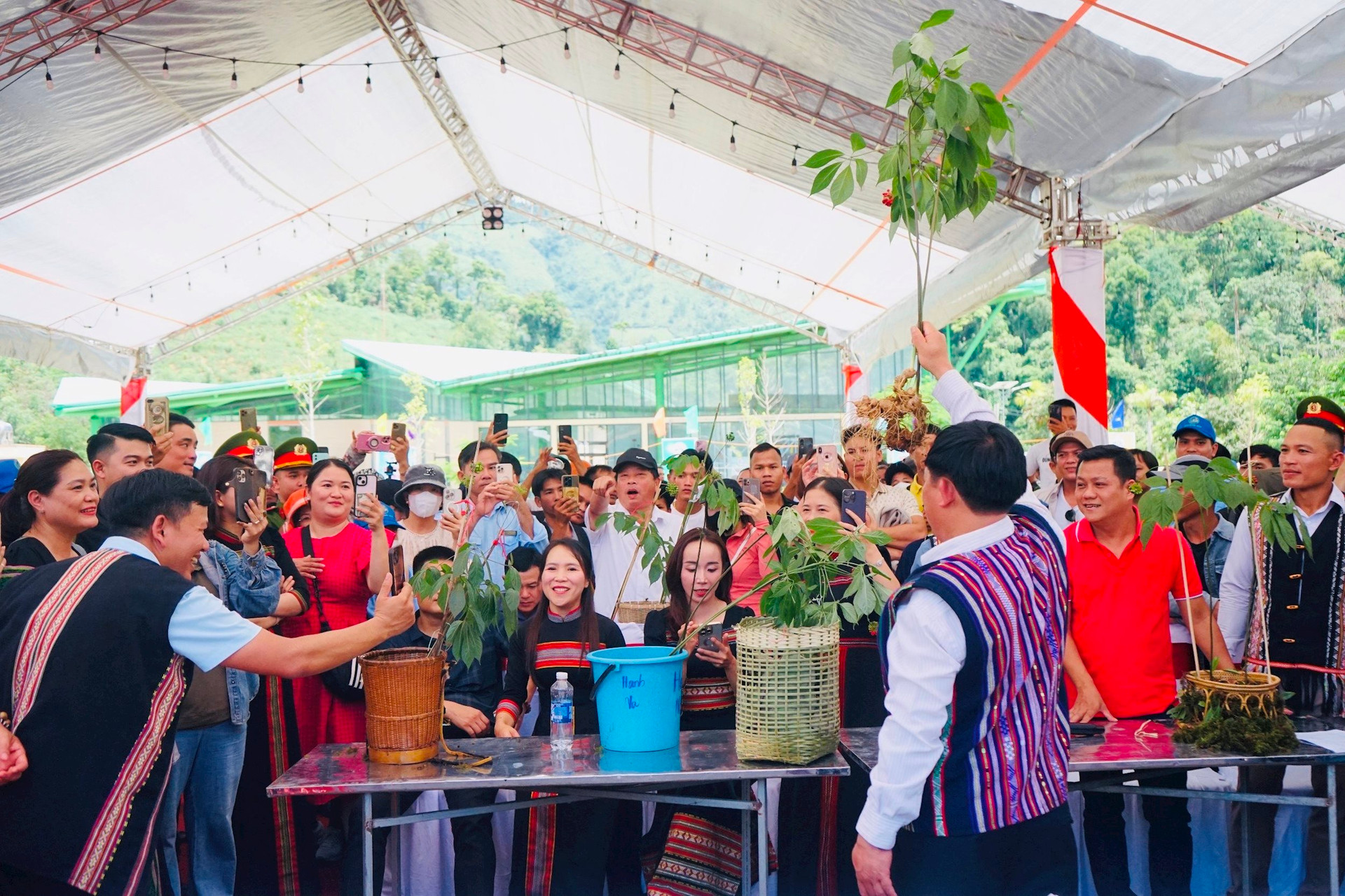 lễ hội sâm