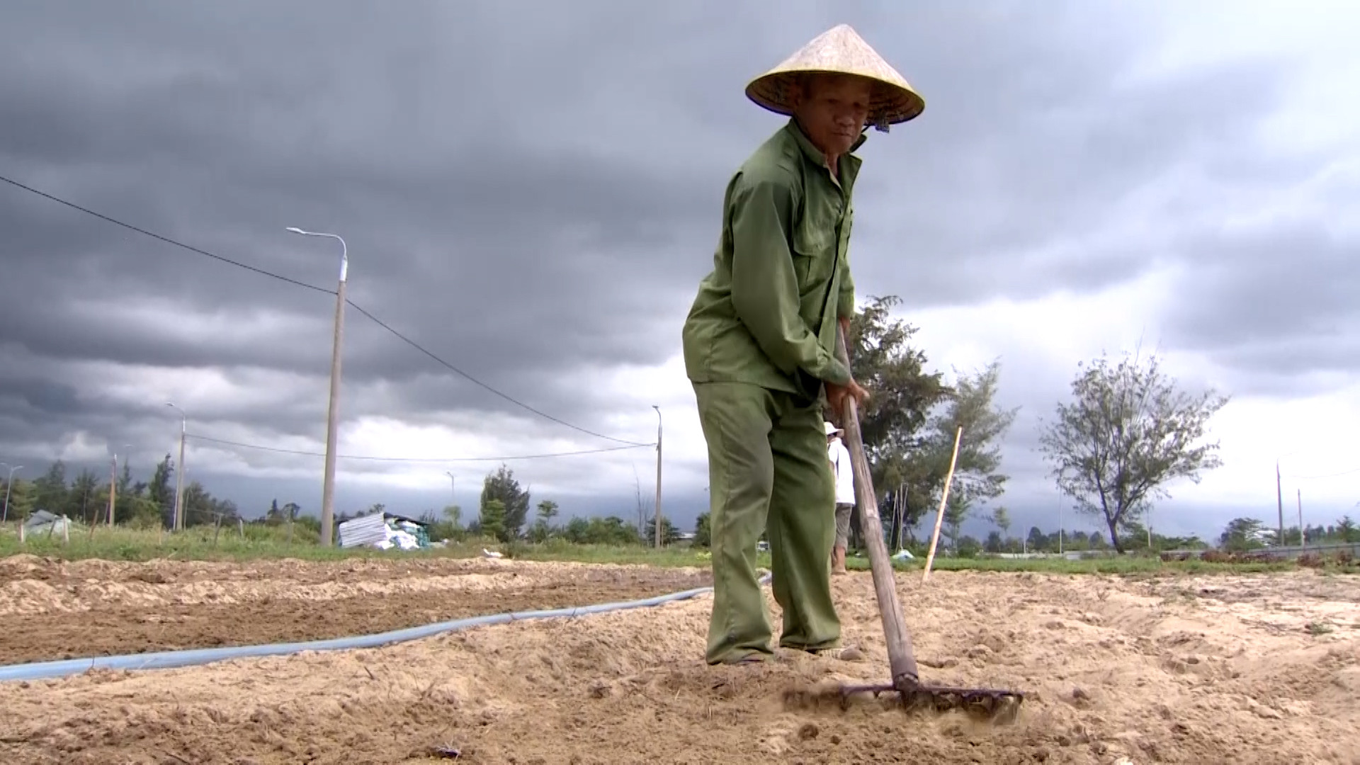 Nông dân phường Điện Ngọc tranh thủ sản xuất trên đất dự án bỏ hoang