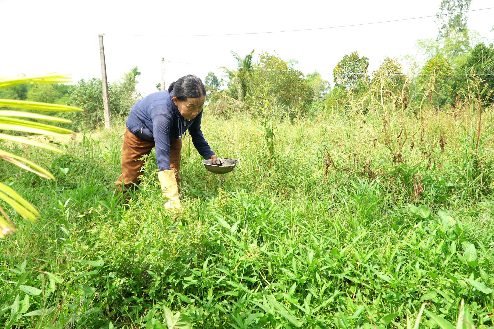 Người dân dùng phân bón cho cây trồng