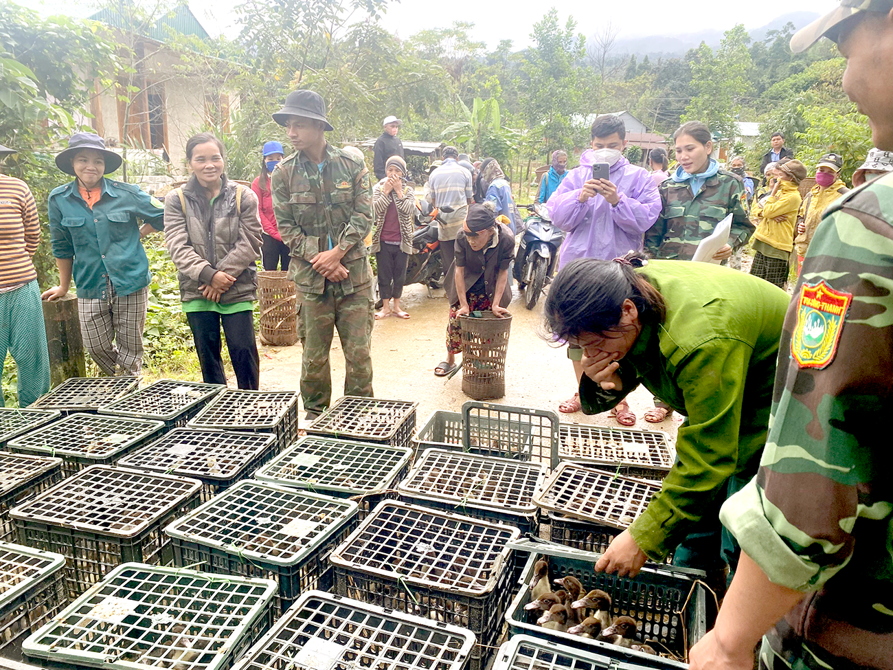 Ảnh 10 – Ban Quản lý Vườn Quốc gia sông Thanh hỗ trợ phát triển sinh kế cho người dân vùng đệm.