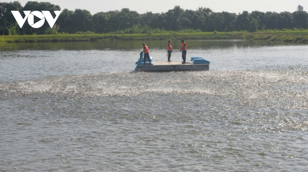 fish farming area