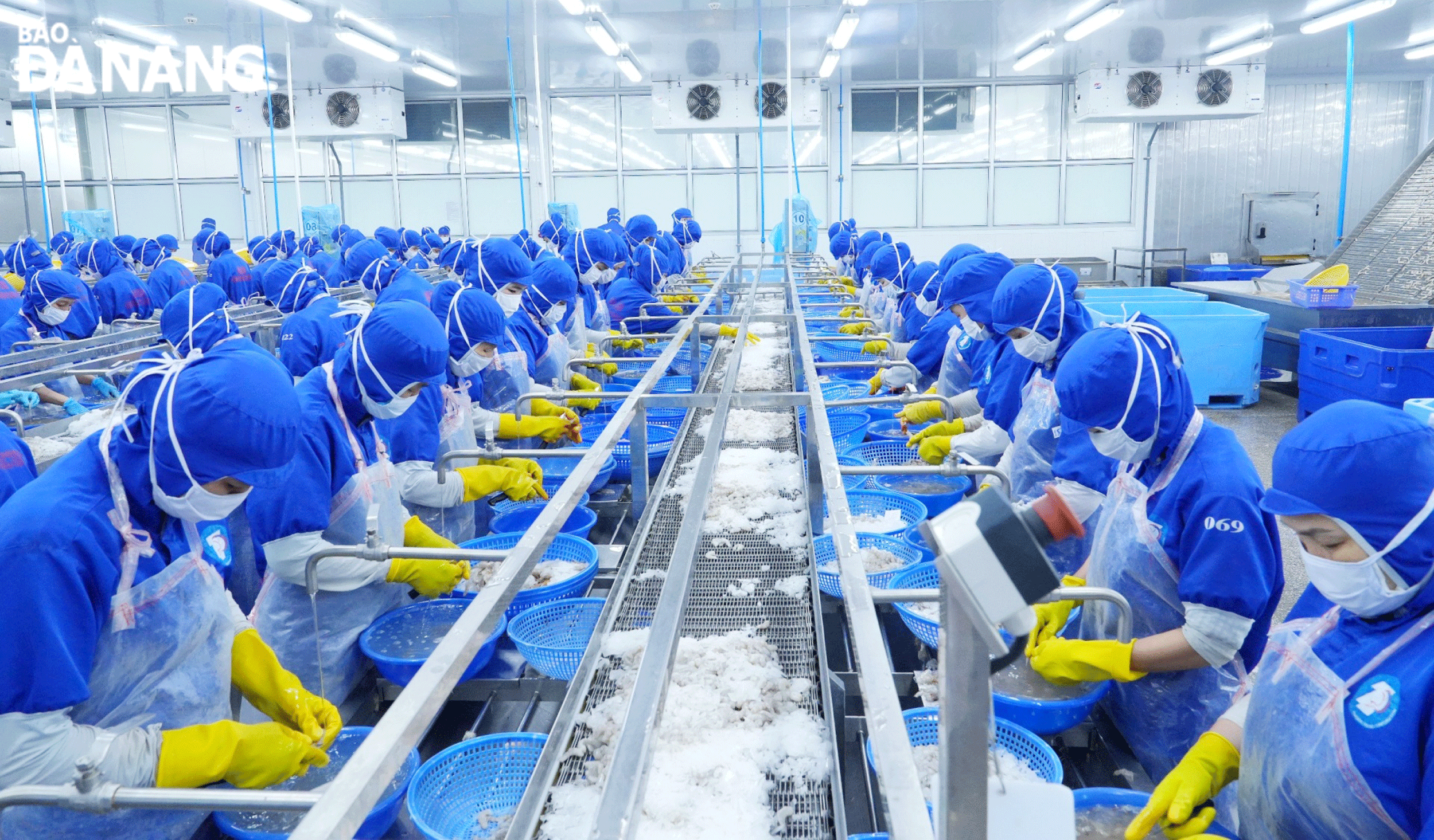 Hoạt động sản xuất tại Công ty CP Thủy sản và Thương mại Thuận Phước. Ảnh: M.Q