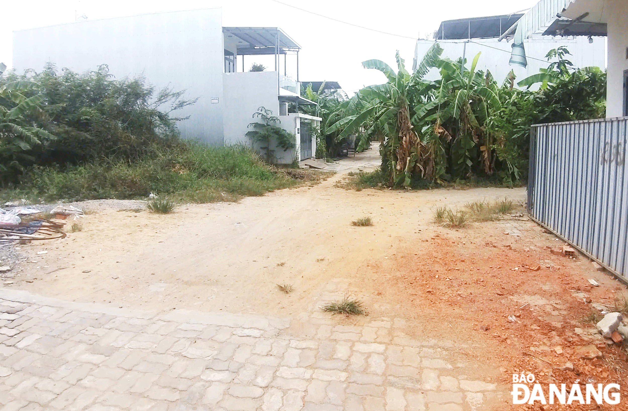 Khu vực tuyến kiệt 815/H33 Trường Chinh (khu Bàu Sen, tổ dân phố số 4, phường Hòa Thọ Đông, quận Cẩm Lệ) nằm trong khu thấp trũng, chưa có hệ thống mương thoát nước nên mưa là ngập. Ảnh: ĐẮC MẠNH