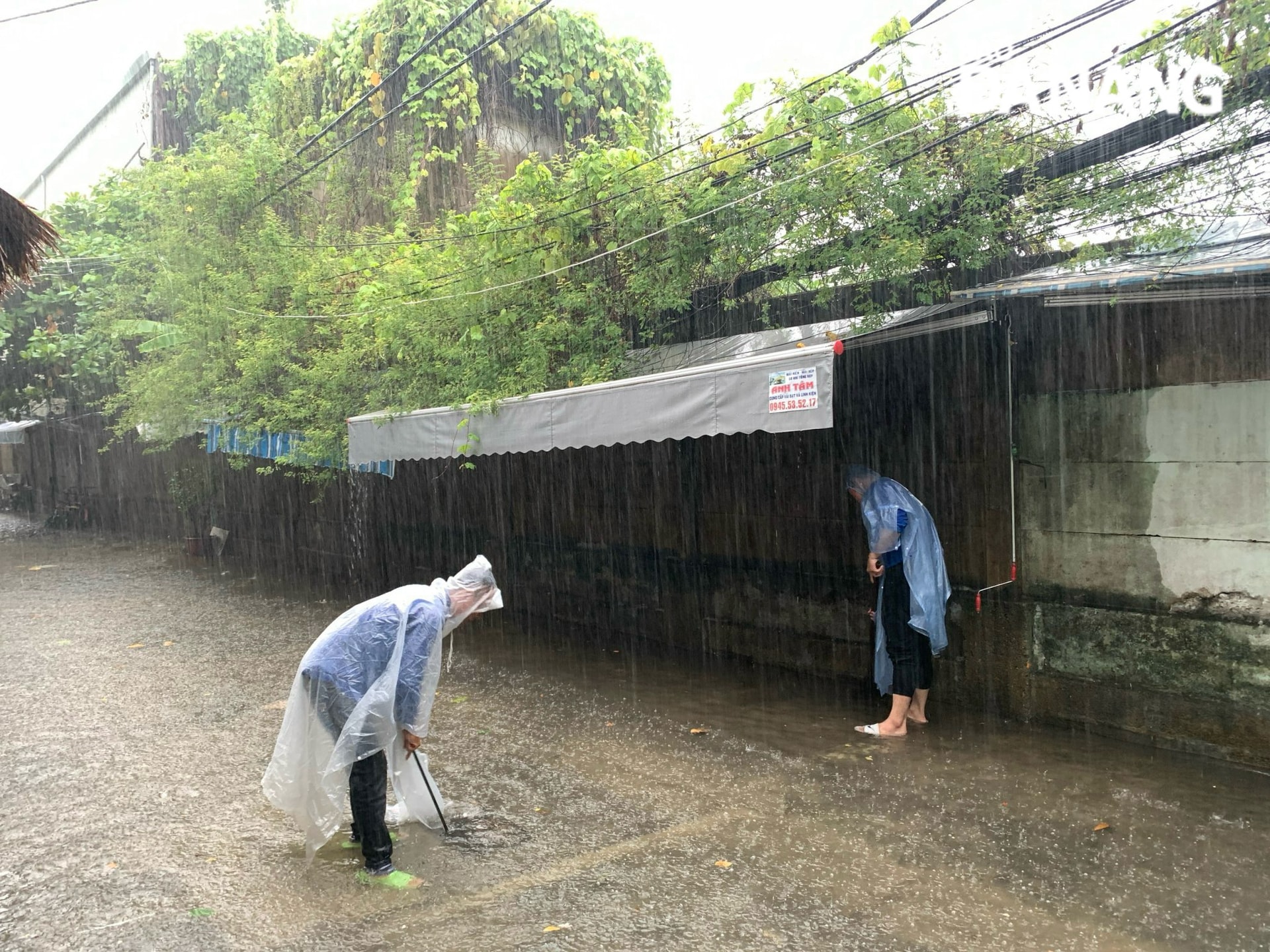 Dù có mưa lớn nhưng các  Đội hình thanh niên tình nguyện phòng chống thiên tai vẫn tích cực khơi thông cống, rãnh.