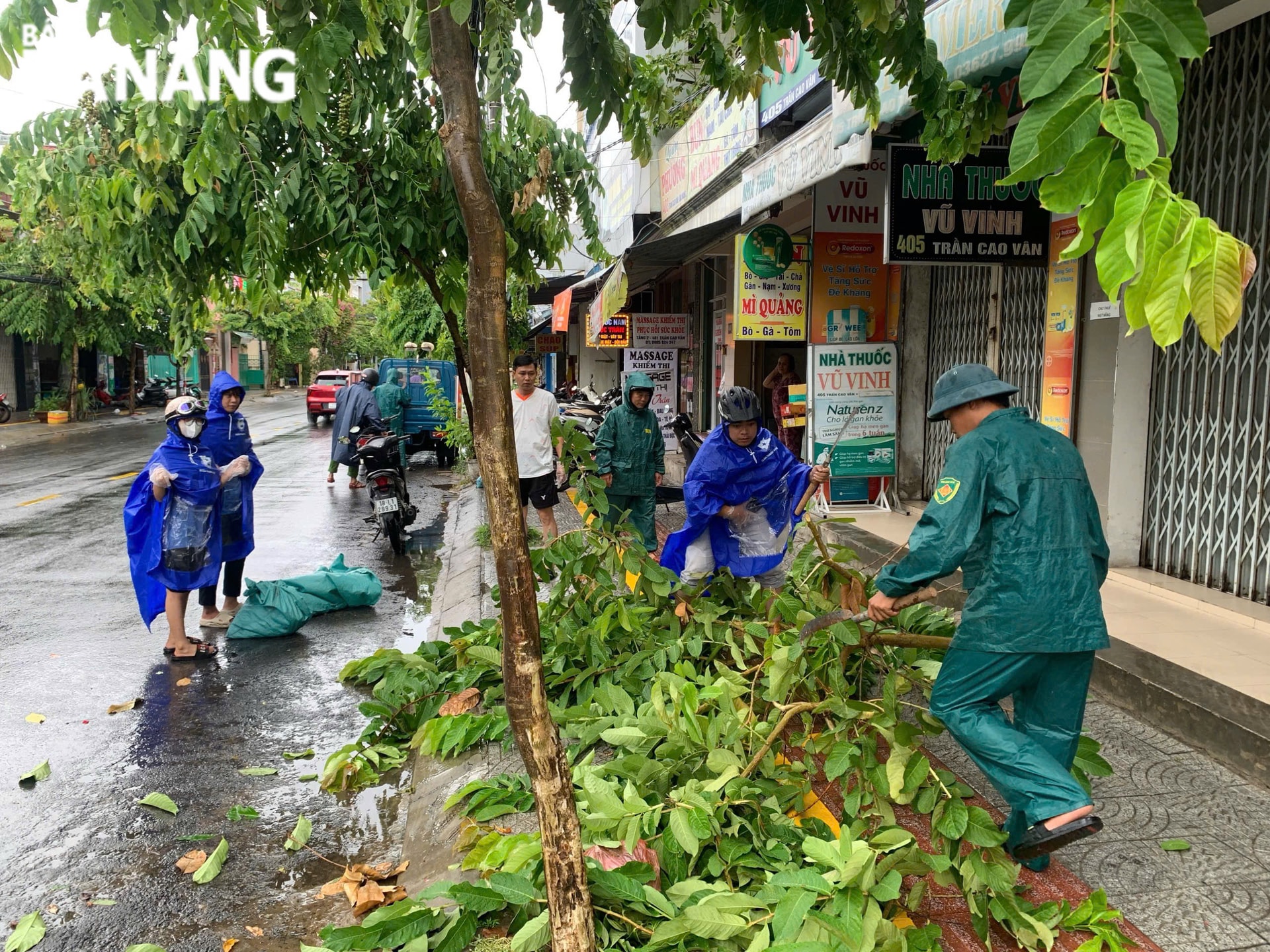 Thanh niên Thanh Khê ra quân cắt tỉa cây xanh, nạo vét cống, dọn dẹp rác thải tại đường Trần Cao Vân.