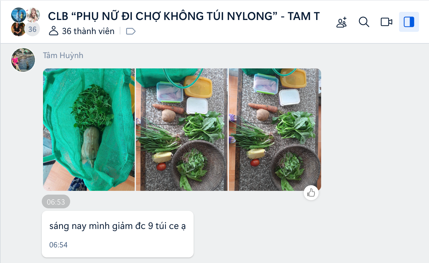 Nhóm cộng đồng ở Tam Thanh chia sẻ về hiệu quả của việc sử dụng túi lười hằng ngày