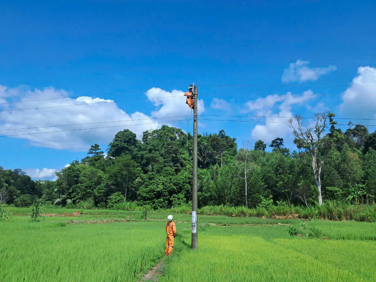 KÉO ĐIỆN