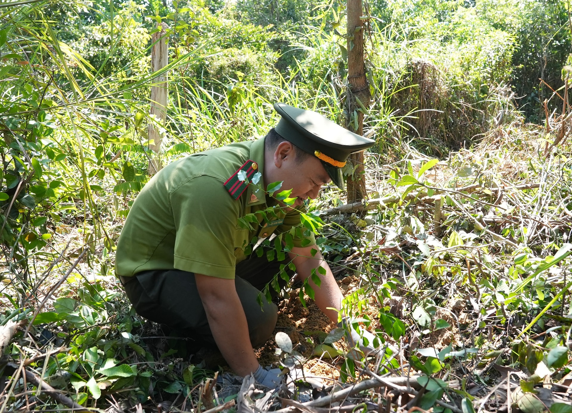 LAM NGHIEP 2