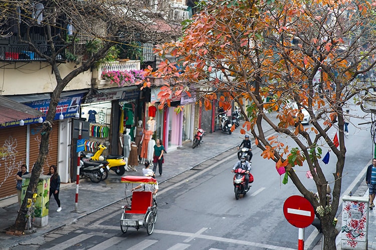 Bắc Bộ và Bắc Trung Bộ, trời chuyển mát.