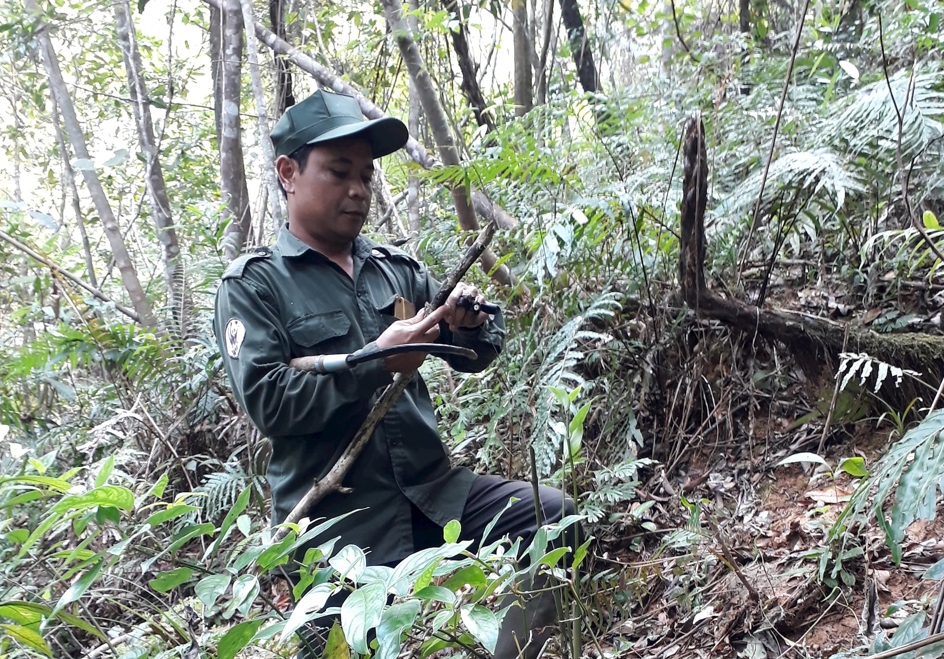 Phát hiện, tháo gỡ bẫy thú. Ảnh: H.Q