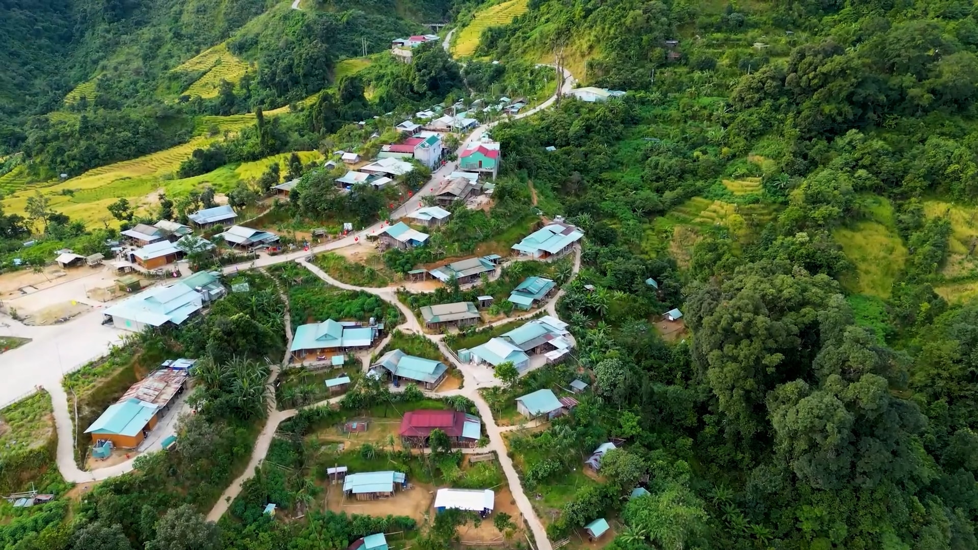 Một góc vùng sâm Trà Linh (Nam Trà My). Ảnh: T.T