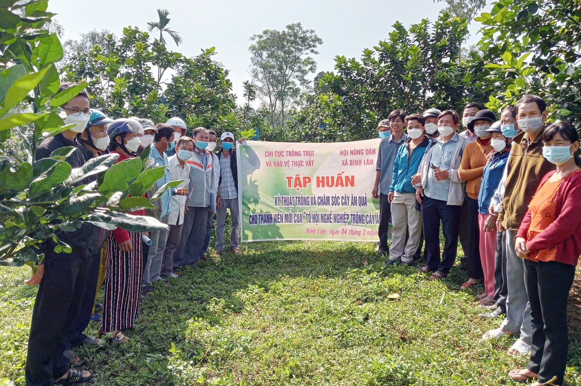 Tập huấn kỹ thuật cho tổ hội nghề nghiệp trồng cây ăn quả tại xã Bình Lâm (Hiệp Đức)